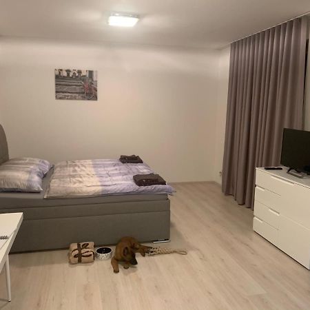 Modern Apartment In The City Center プルゼニ エクステリア 写真