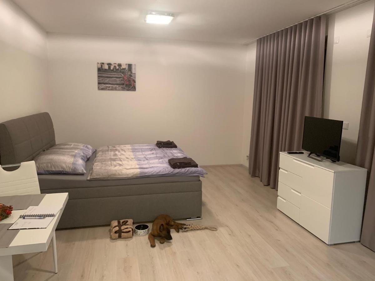 Modern Apartment In The City Center プルゼニ エクステリア 写真